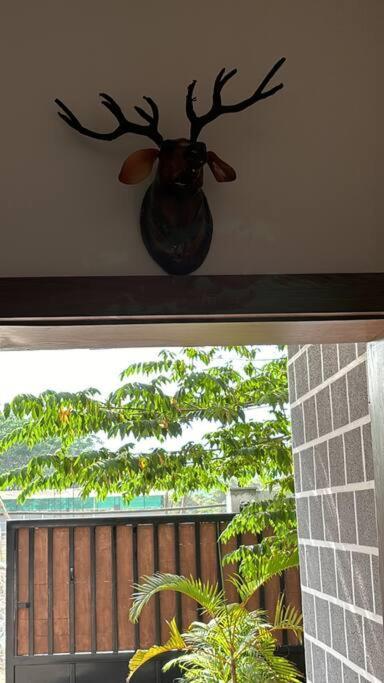 Jumanji - The Forest Duplex Pune Extérieur photo